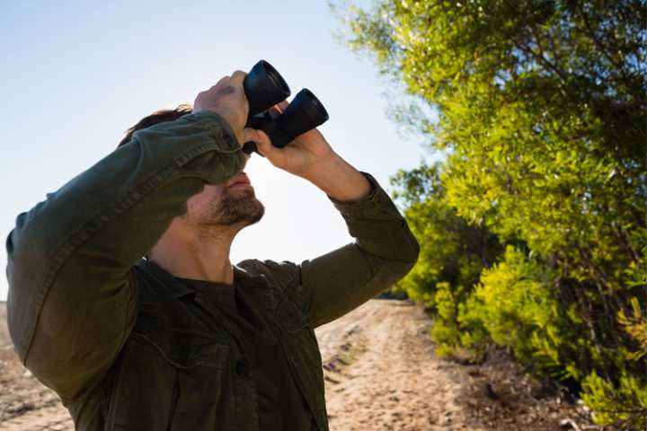 7 Best Birdwatching Hikes in Kansas