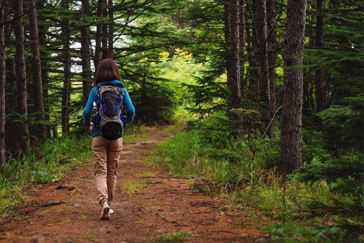 SPOTLIGHT: Things to Do in and Around Stone State Park